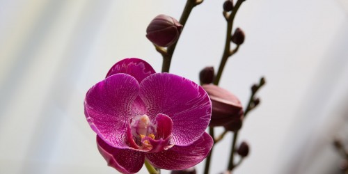 ĐIỀU KHOẢN MUA BÁN HÀNG HÓA