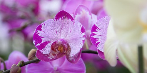 CHÍNH SÁCH THANH TOÁN