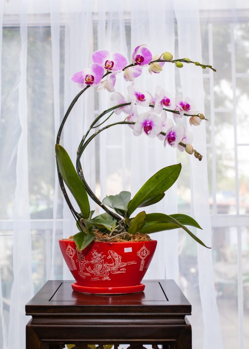 thuận buồm xuôi gió 