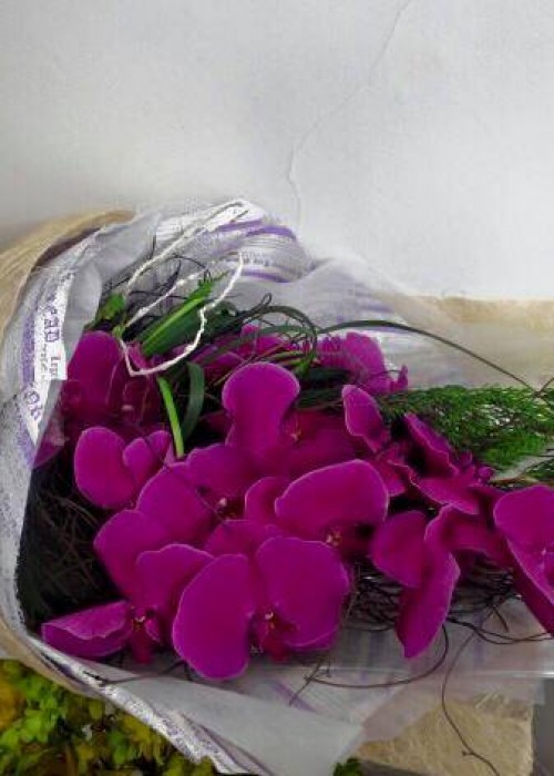 Bó hoa lan hồ điệp tím hồng