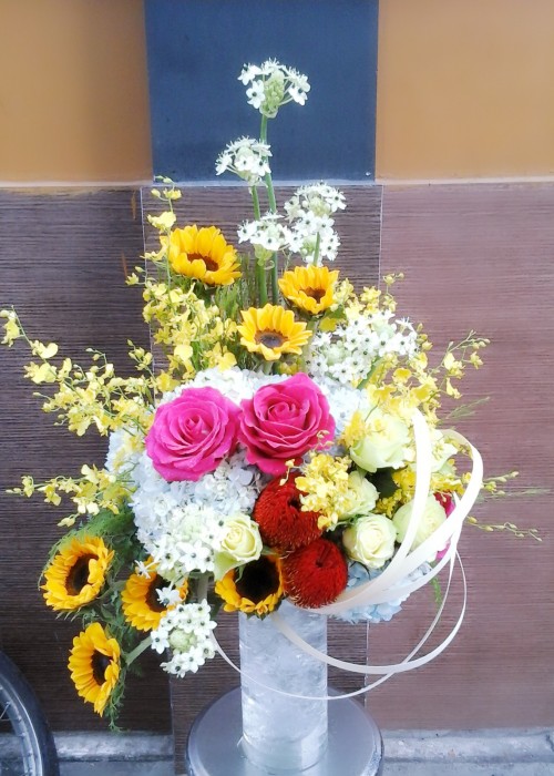 sinh nhật hạnh phúc