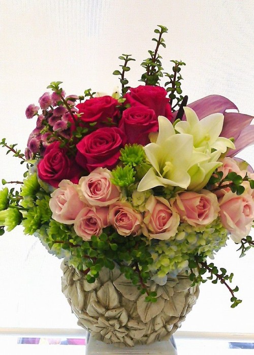 niềm tin trọn vẹn