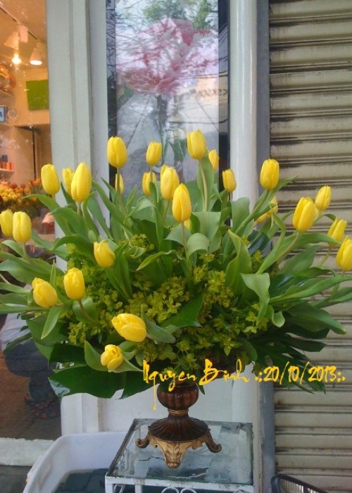 tình yêu tìm thấy