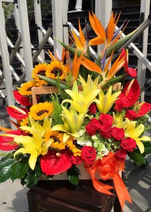 giỏ hoa thiên điểu