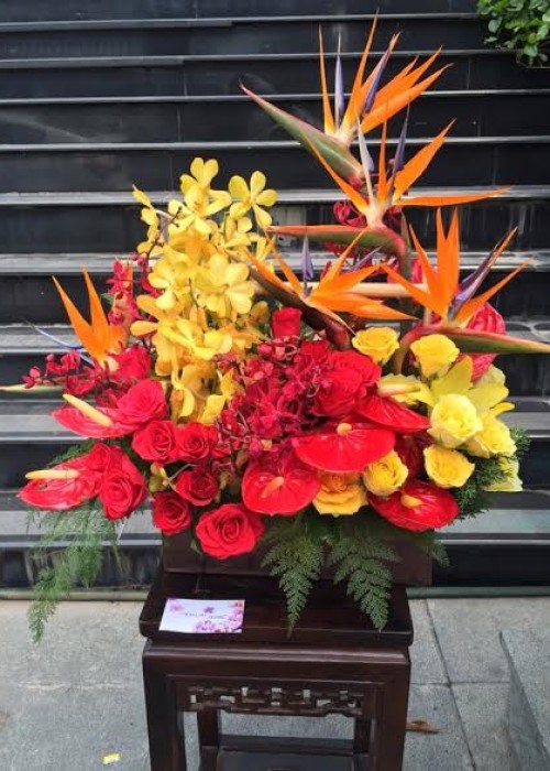 vũ điệu thiên điểu