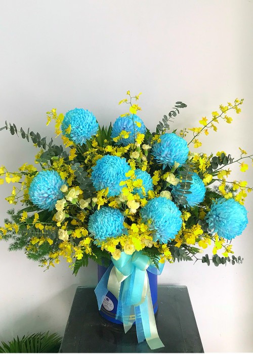 Cúc mẫu đơn xanh Blue