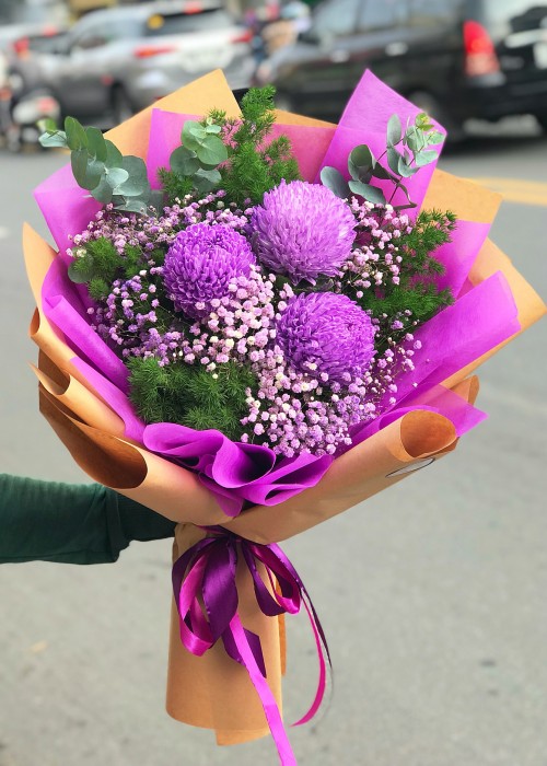 Cúc mẫu đơn tím