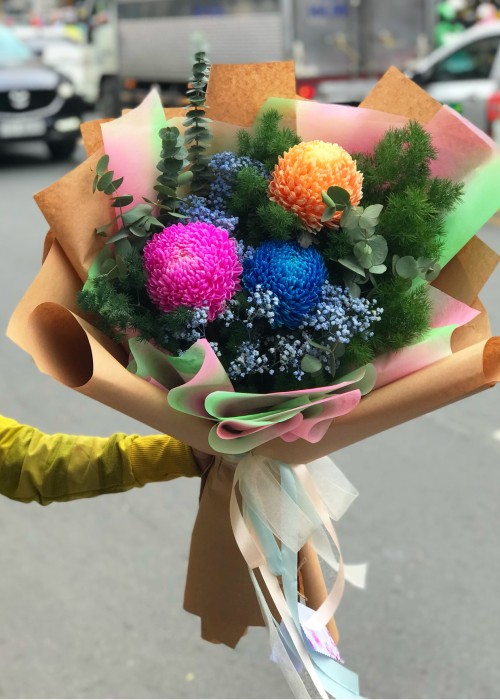 Cúc mẫu đơn 3 màu