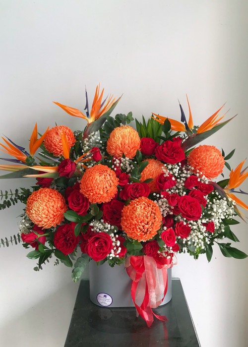 Hộp hoa sắc màu