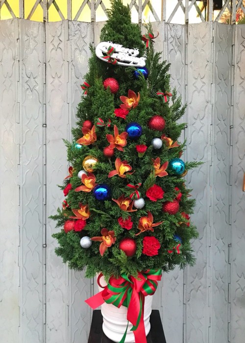 Giáng sinh an lành