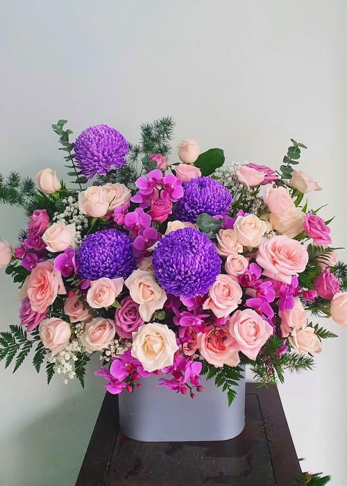 Cúc mẫu đơn tím và hoa hồng kem