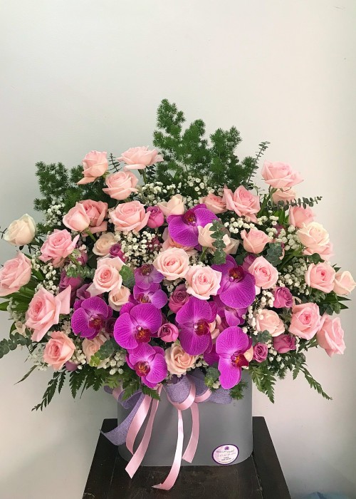 Hoa hồng kem và lan hồ điệp tím sọc