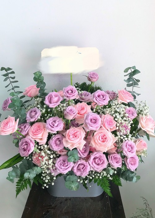 Hoa hồng yêu thương