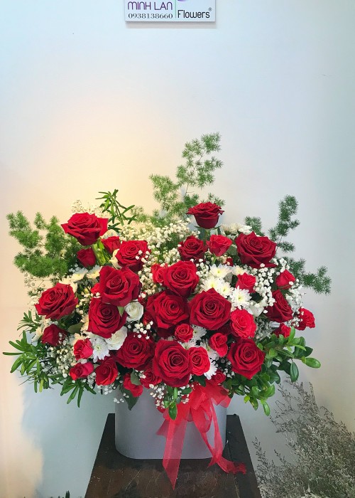 Hồng đỏ rực rỡ