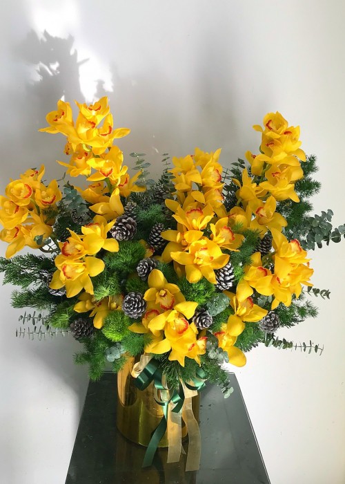 Hoa địa lan vàng