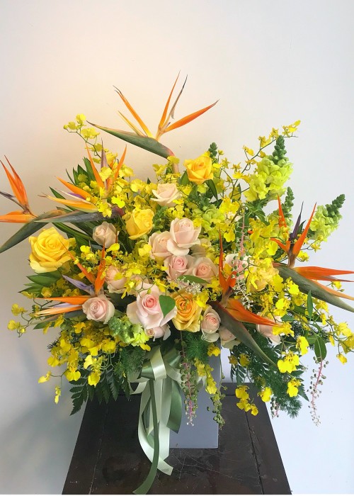 Hoa hồng kem và hoa vũ nữ vàng