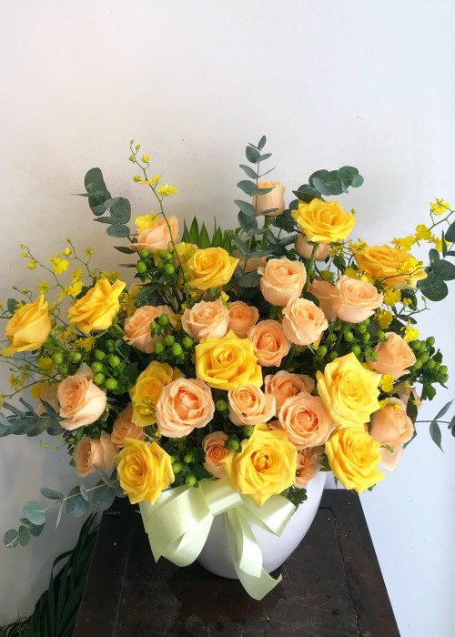 Chậu hoa hồng 2 màu