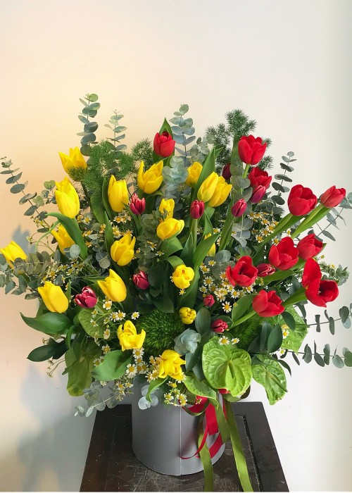 Tulip đỏ và vàng