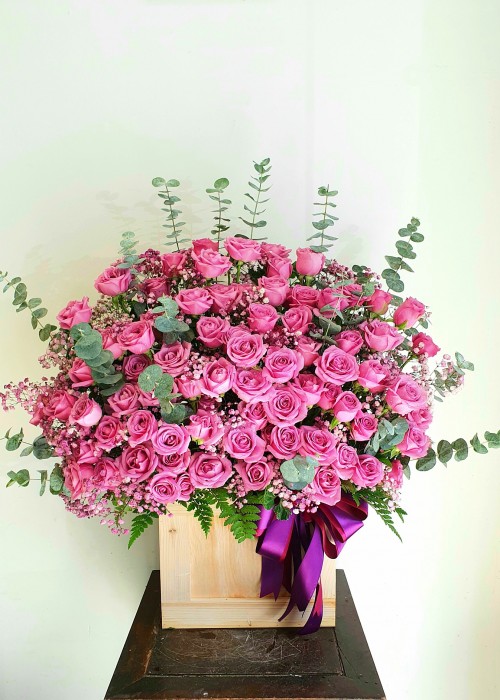 Chậu hoa hồng tím