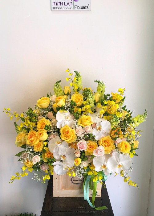 Chậu hoa hồng yêu thương