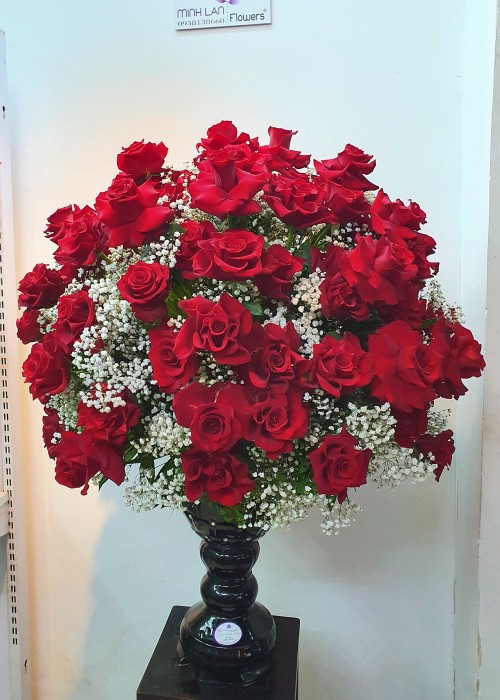 Chậu hoa hồng nhập