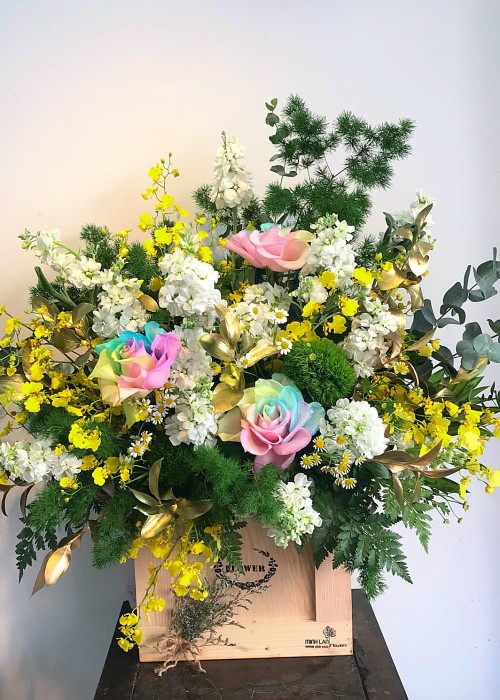 Chậu hoa sắc màu