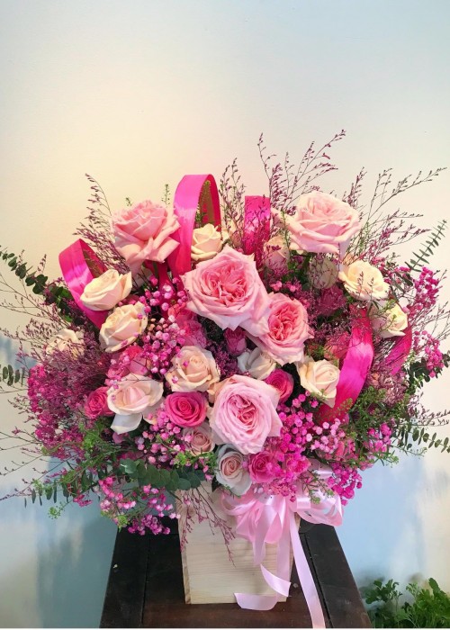 Chậu hoa hồng nữ tính