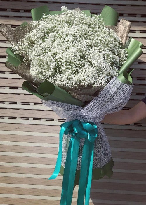 Bó hoa babi Hà Lan trắng