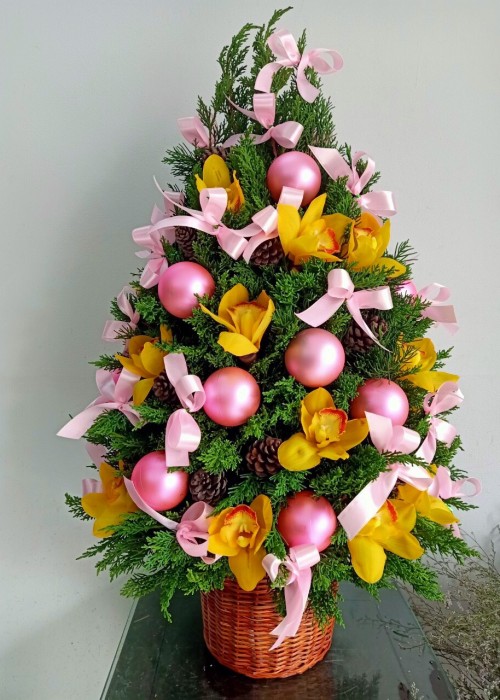 Chậu cây thông Noel tone hồng