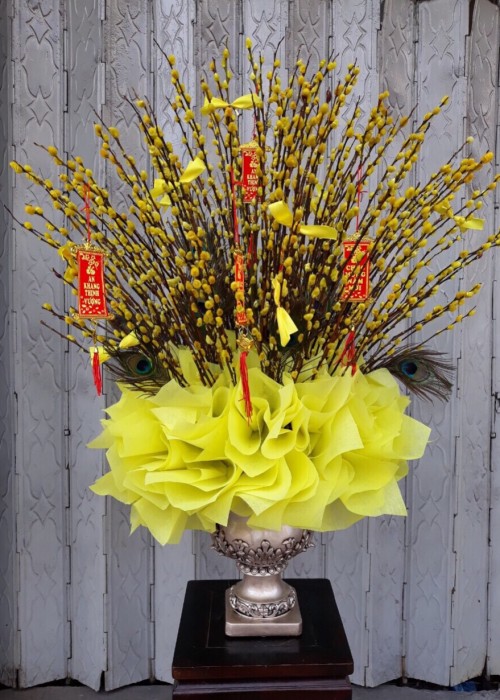 Chậu nụ tầm xuân vàng