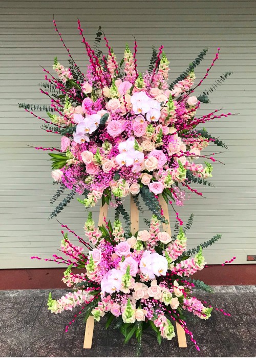 Kệ hoa khai trương sắc màu