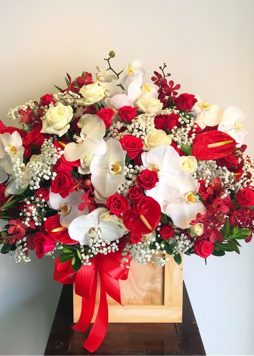 Chậu lan hồ điệp và hoa hồng