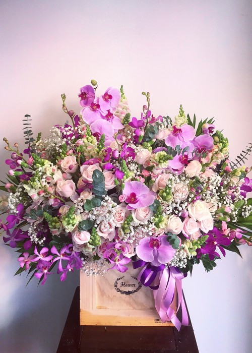 Chậu hoa tone tím