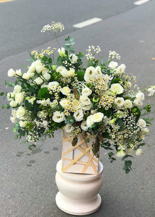 Hoa hồng trắng và cúc tana