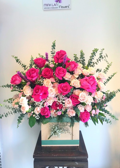 Chậu hoa hồng kem và hoa hồng đỏ