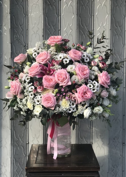 Hoa hồng Ohara Hà Lan