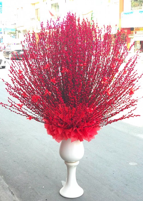 Nụ tầm xuân khổng lồ