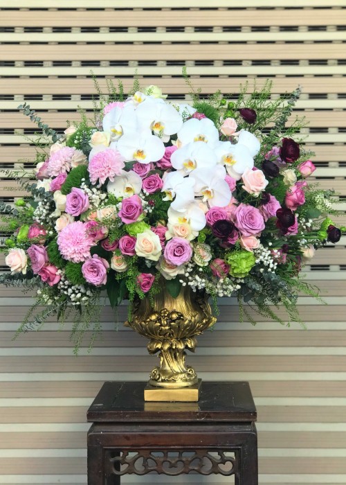 Chậu hoa đua nở