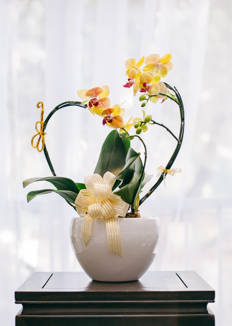 trái tim yêu thương