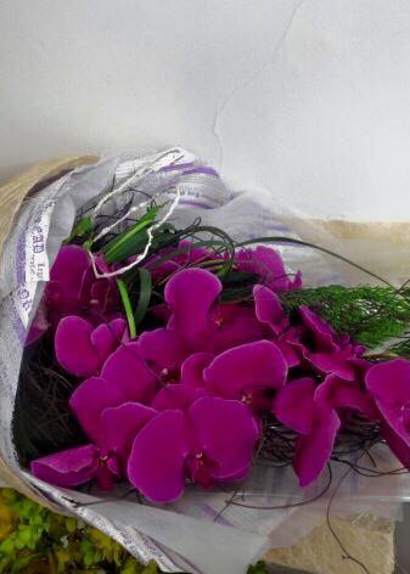 Bó hoa lan hồ điệp tím hồng