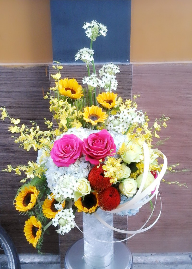 sinh nhật hạnh phúc