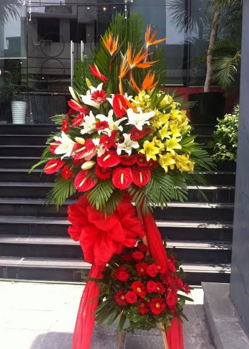 hoa khai trương tông đỏ