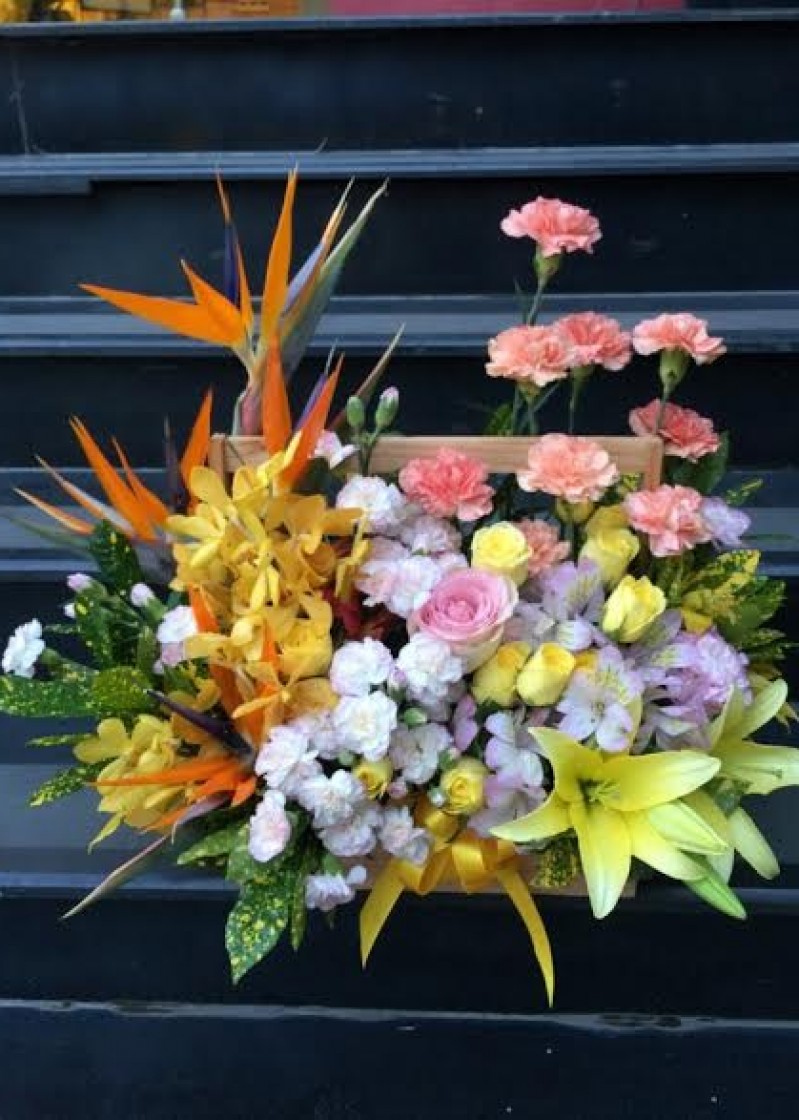 Giỏ hoa / Hộp hoa