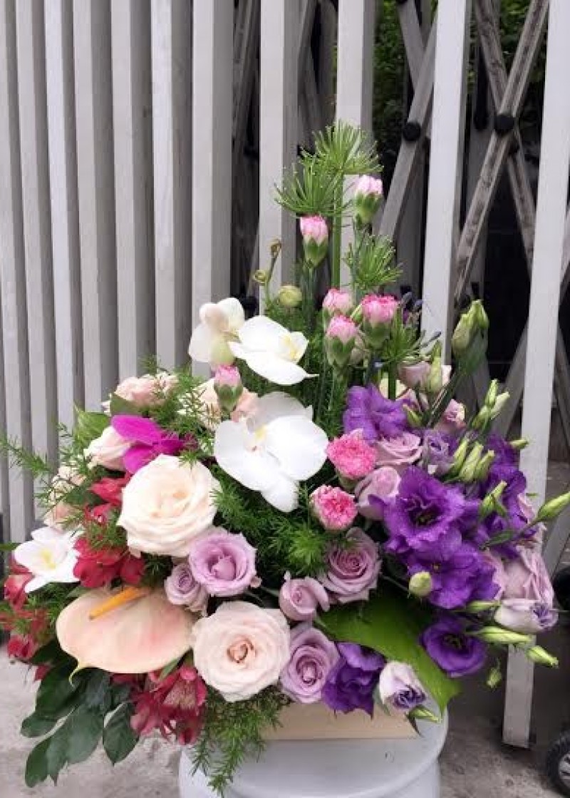 hoa sinh nhật tím 