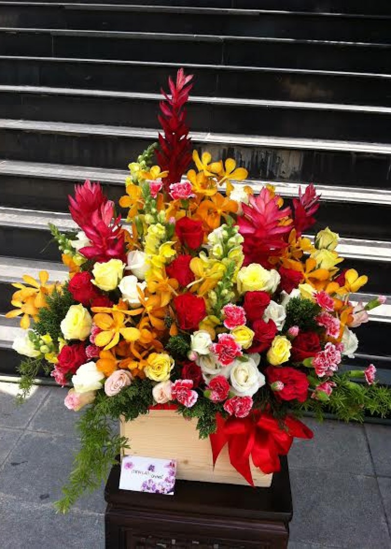 hạnh phúc tràn đầy