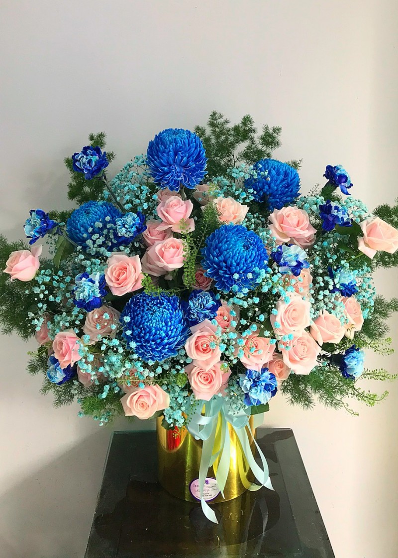 Ngập tràn niềm vui