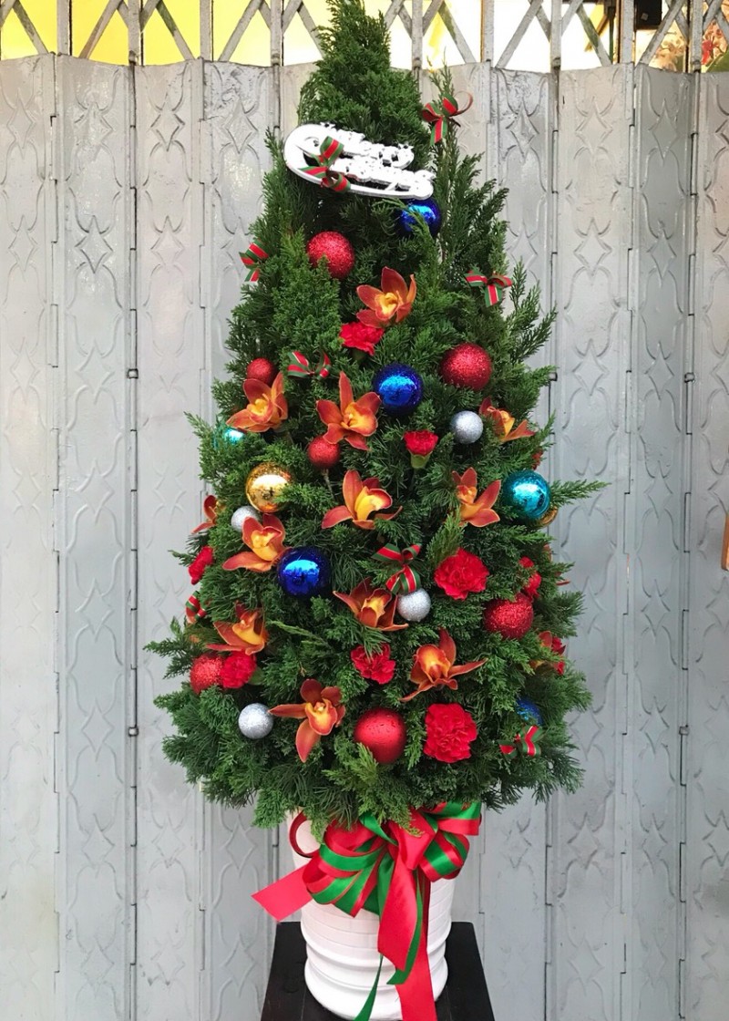 Giáng sinh an lành