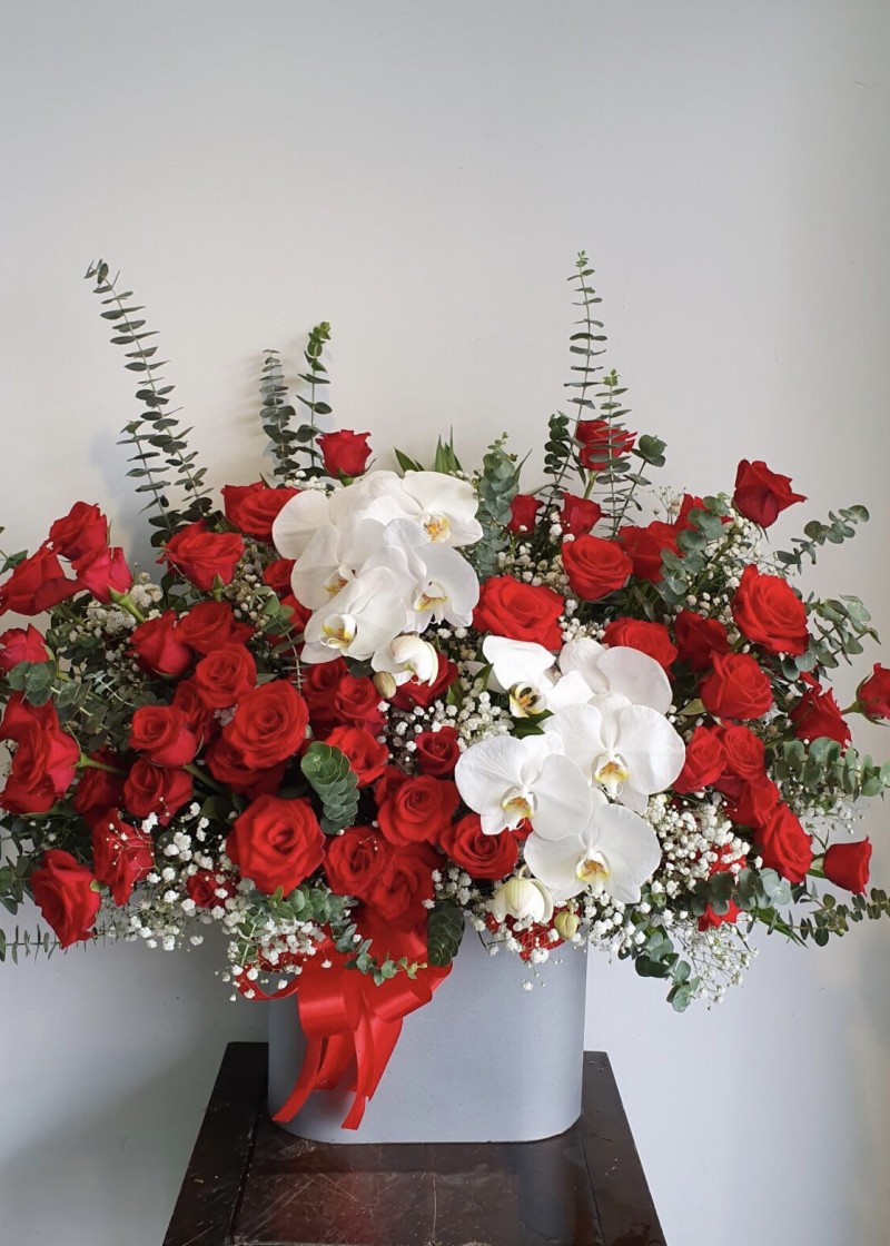 Hồng đỏ và lan trắng