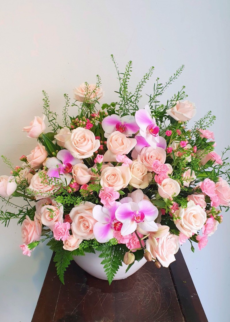 Chậu hoa hồng và lan hồ điệp