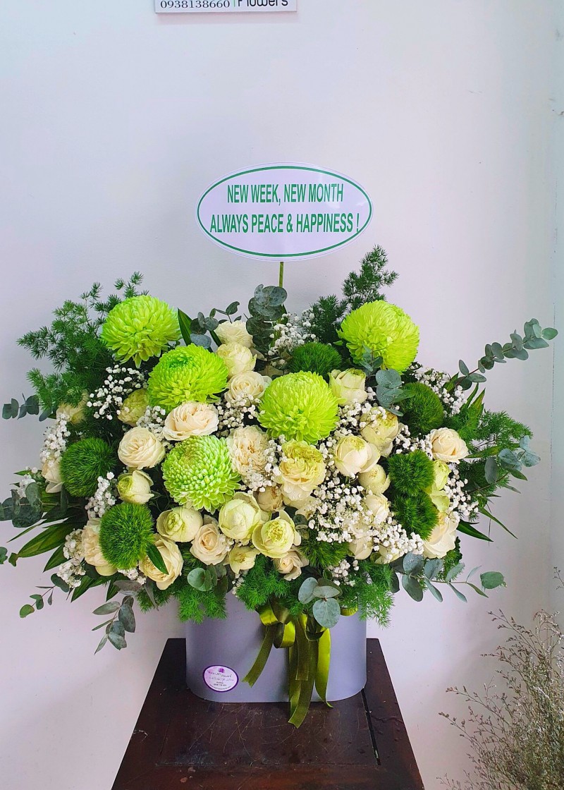 Hộp cúc mẫu đơn xanh cốm 